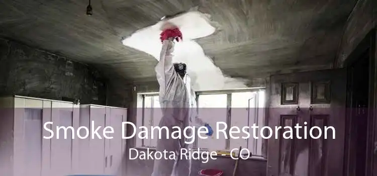 Smoke Damage Restoration Dakota Ridge - CO