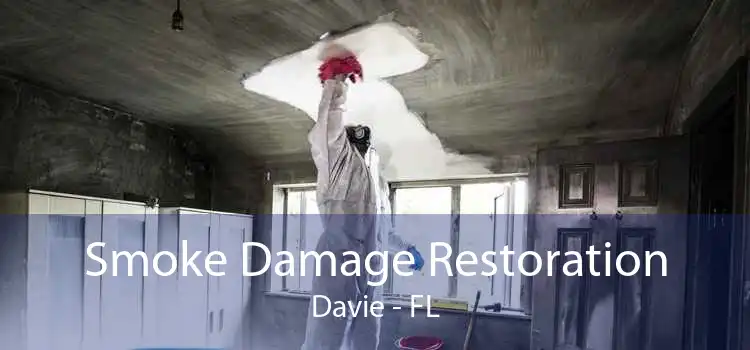 Smoke Damage Restoration Davie - FL