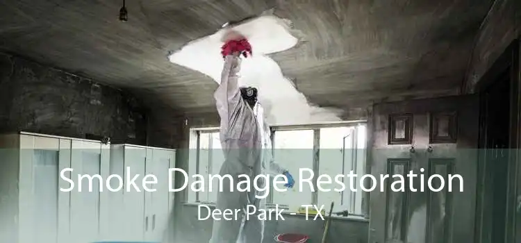 Smoke Damage Restoration Deer Park - TX
