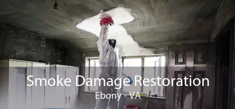 Smoke Damage Restoration Ebony - VA