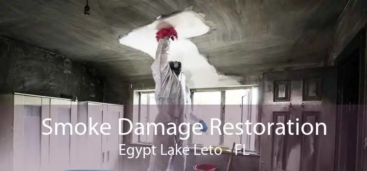 Smoke Damage Restoration Egypt Lake Leto - FL