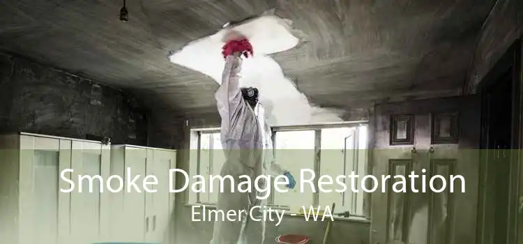Smoke Damage Restoration Elmer City - WA