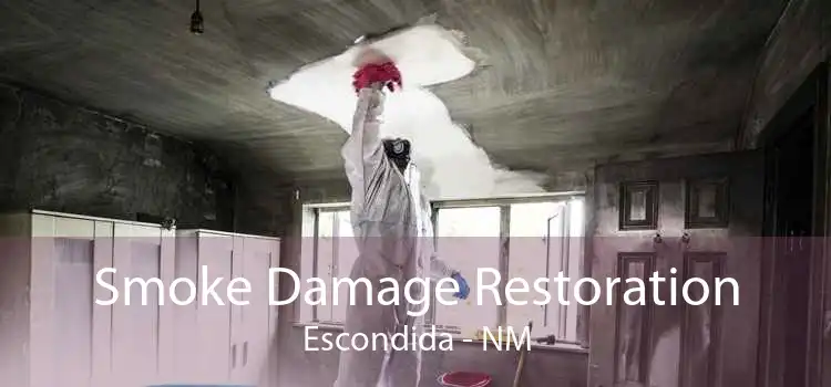 Smoke Damage Restoration Escondida - NM