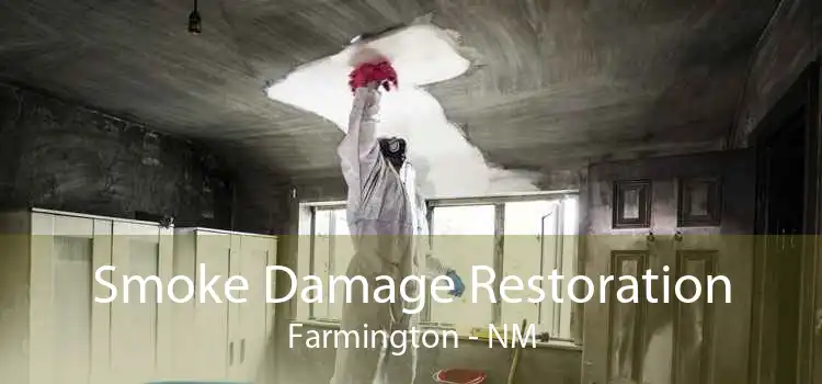 Smoke Damage Restoration Farmington - NM