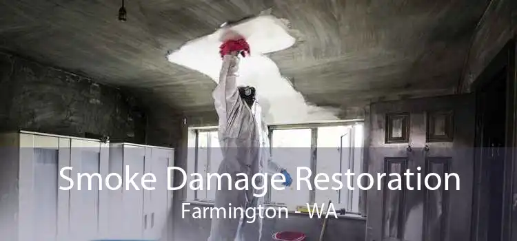 Smoke Damage Restoration Farmington - WA