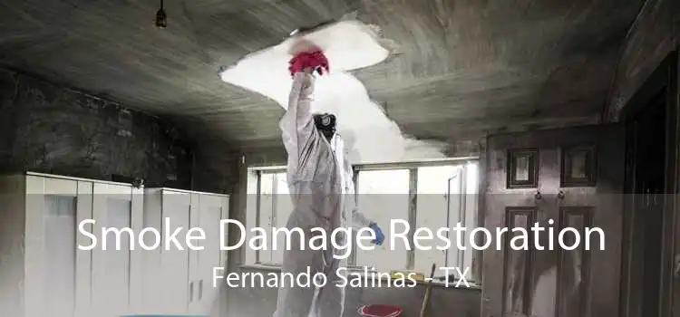 Smoke Damage Restoration Fernando Salinas - TX