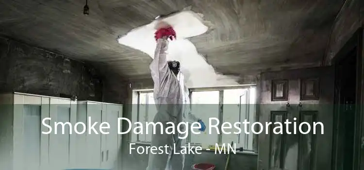 Smoke Damage Restoration Forest Lake - MN