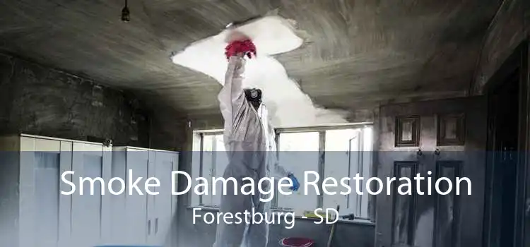 Smoke Damage Restoration Forestburg - SD