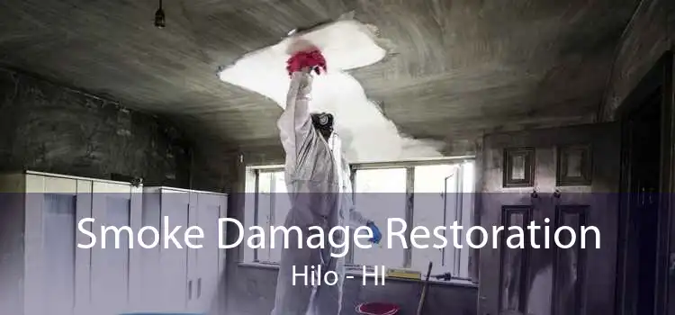 Smoke Damage Restoration Hilo - HI