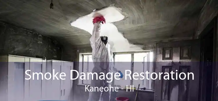 Smoke Damage Restoration Kaneohe - HI