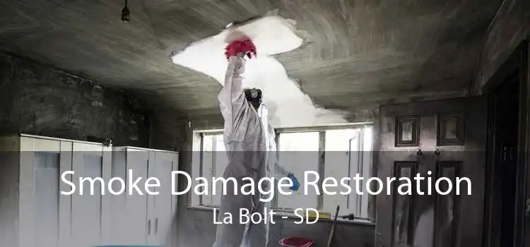 Smoke Damage Restoration La Bolt - SD