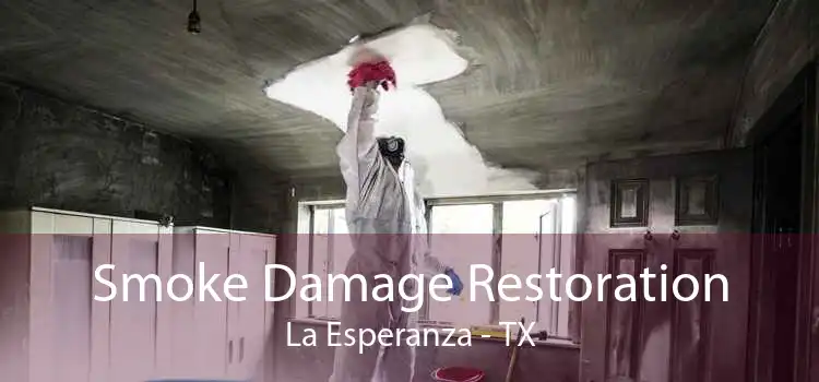 Smoke Damage Restoration La Esperanza - TX