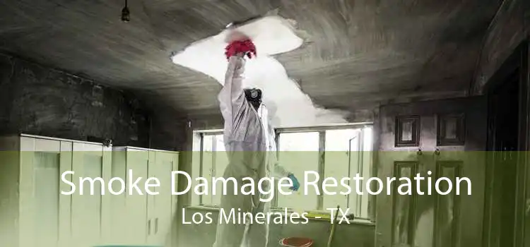 Smoke Damage Restoration Los Minerales - TX