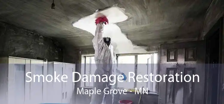 Smoke Damage Restoration Maple Grove - MN