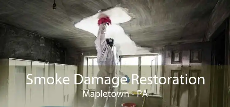 Smoke Damage Restoration Mapletown - PA