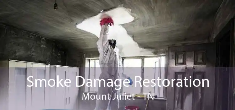 Smoke Damage Restoration Mount Juliet - TN