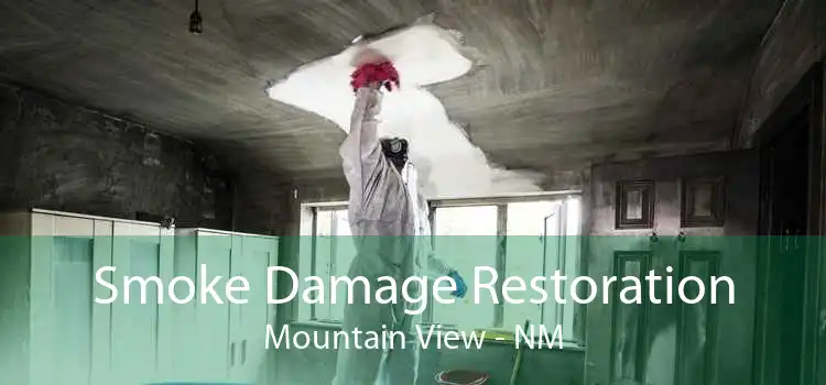Smoke Damage Restoration Mountain View - NM