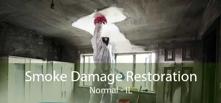 Smoke Damage Restoration Normal - IL