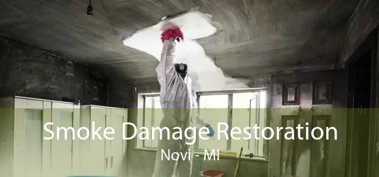 Smoke Damage Restoration Novi - MI
