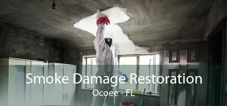 Smoke Damage Restoration Ocoee - FL