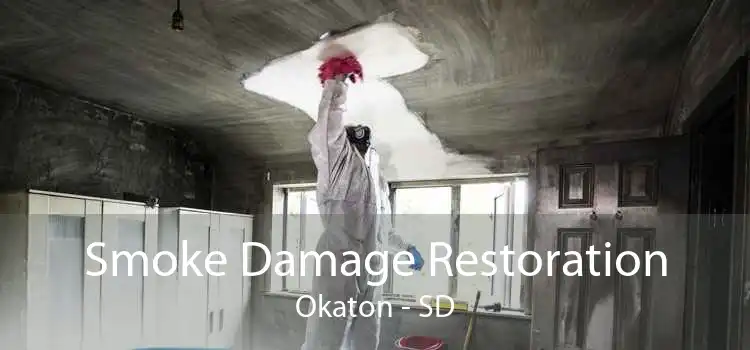 Smoke Damage Restoration Okaton - SD