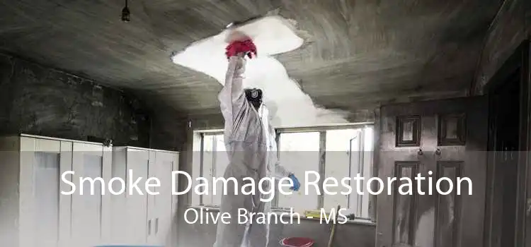 Smoke Damage Restoration Olive Branch - MS