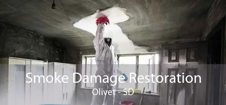 Smoke Damage Restoration Olivet - SD