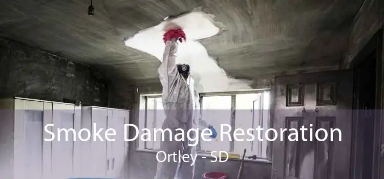 Smoke Damage Restoration Ortley - SD