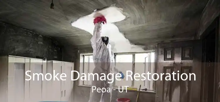 Smoke Damage Restoration Peoa - UT