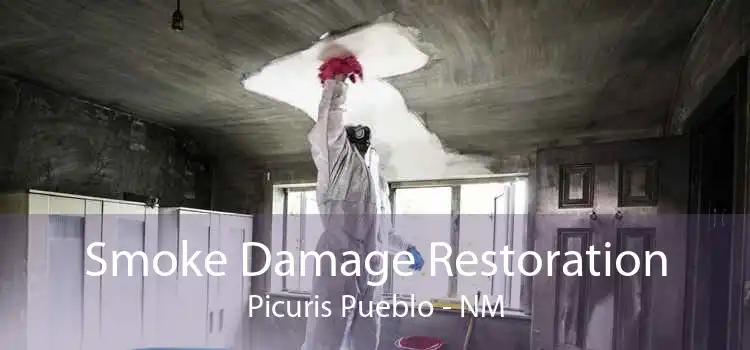 Smoke Damage Restoration Picuris Pueblo - NM