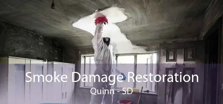 Smoke Damage Restoration Quinn - SD