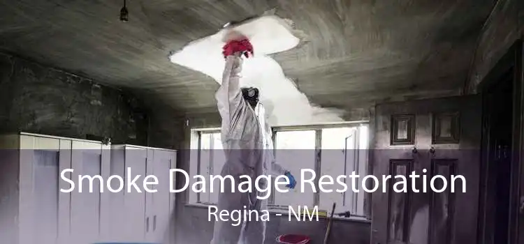 Smoke Damage Restoration Regina - NM