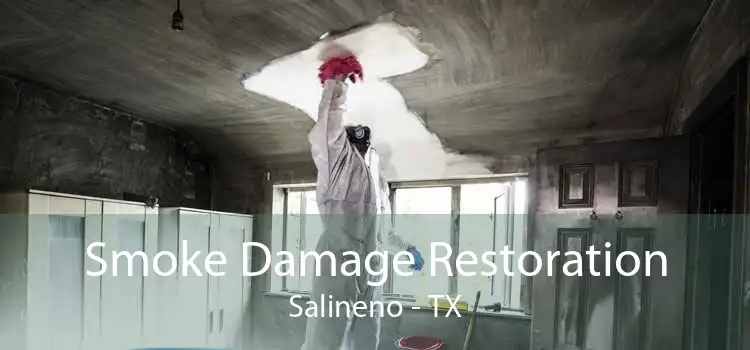 Smoke Damage Restoration Salineno - TX