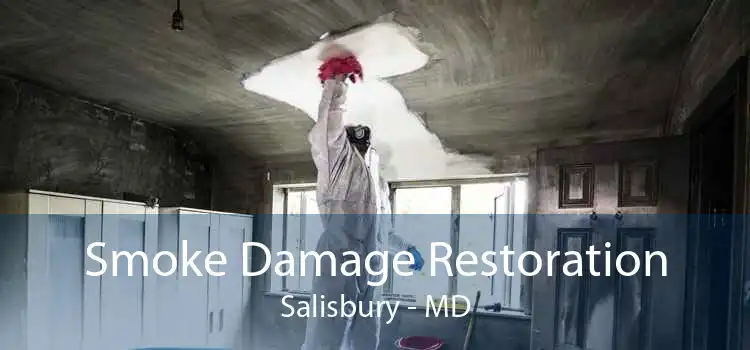 Smoke Damage Restoration Salisbury - MD