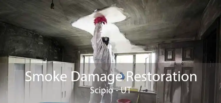 Smoke Damage Restoration Scipio - UT