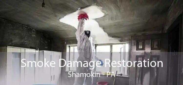 Smoke Damage Restoration Shamokin - PA
