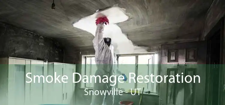 Smoke Damage Restoration Snowville - UT