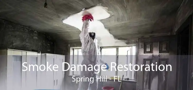 Smoke Damage Restoration Spring Hill - FL