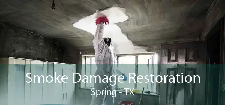 Smoke Damage Restoration Spring - TX