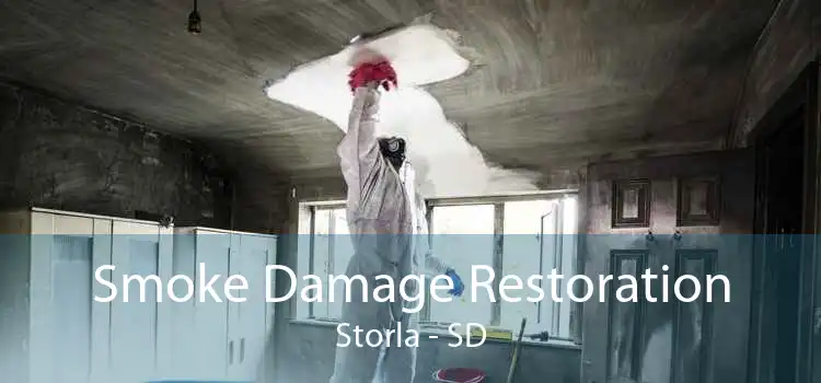 Smoke Damage Restoration Storla - SD