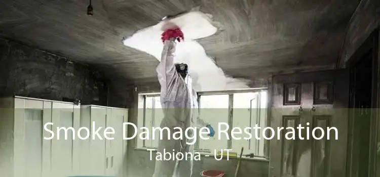 Smoke Damage Restoration Tabiona - UT