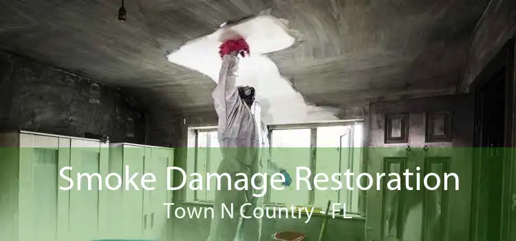 Smoke Damage Restoration Town N Country - FL