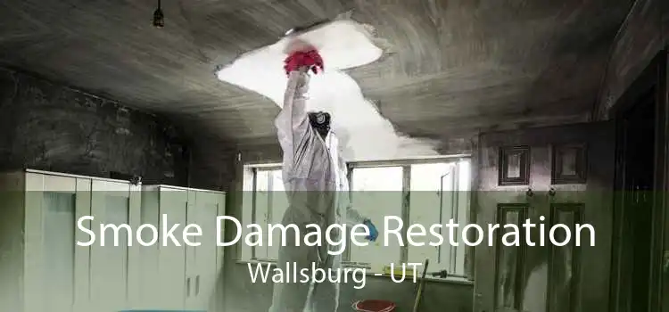Smoke Damage Restoration Wallsburg - UT