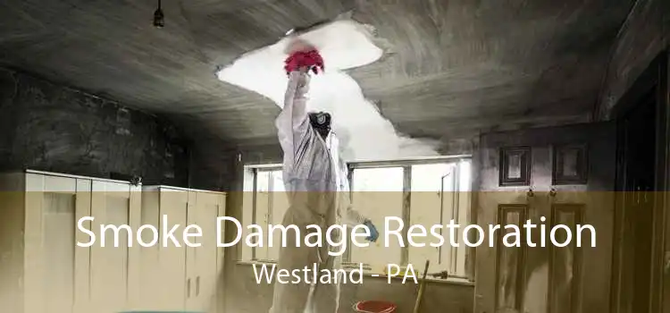 Smoke Damage Restoration Westland - PA