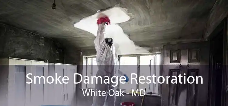 Smoke Damage Restoration White Oak - MD