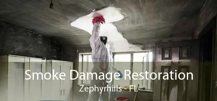Smoke Damage Restoration Zephyrhills - FL