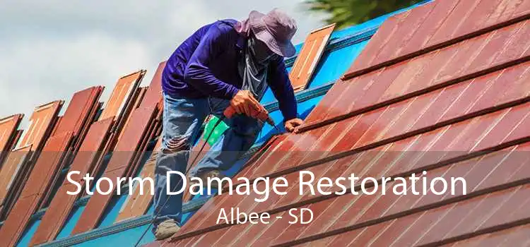 Storm Damage Restoration Albee - SD