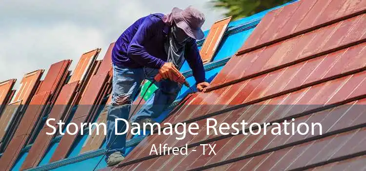 Storm Damage Restoration Alfred - TX