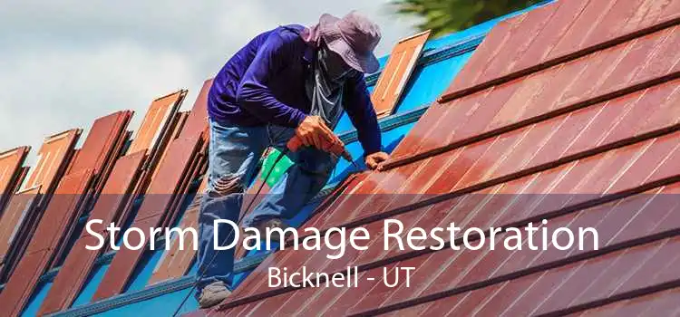 Storm Damage Restoration Bicknell - UT