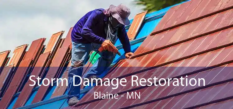 Storm Damage Restoration Blaine - MN